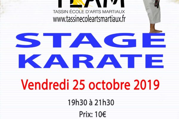 Stage Karaté Tassin