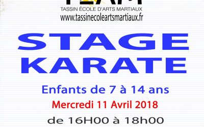 Stage karaté Enfant 11 avril 2018 Tassin