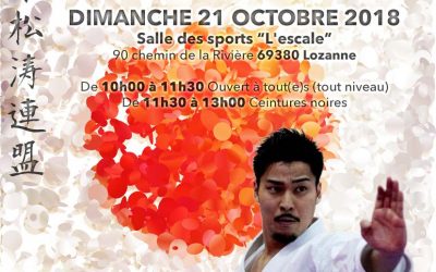 Stage JKS Arimoto Senseï le dimanche 21 Octobre 2018