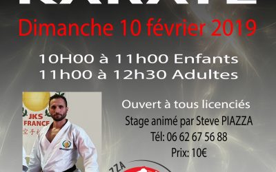 Stage karaté 10 février 2019