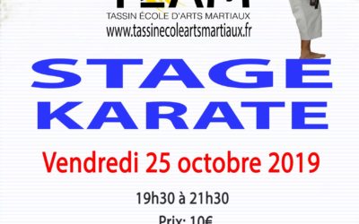 Stage Karaté Tassin